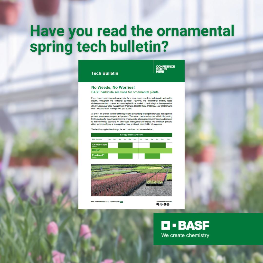 Ornamental_springbulletin_web_Sep25