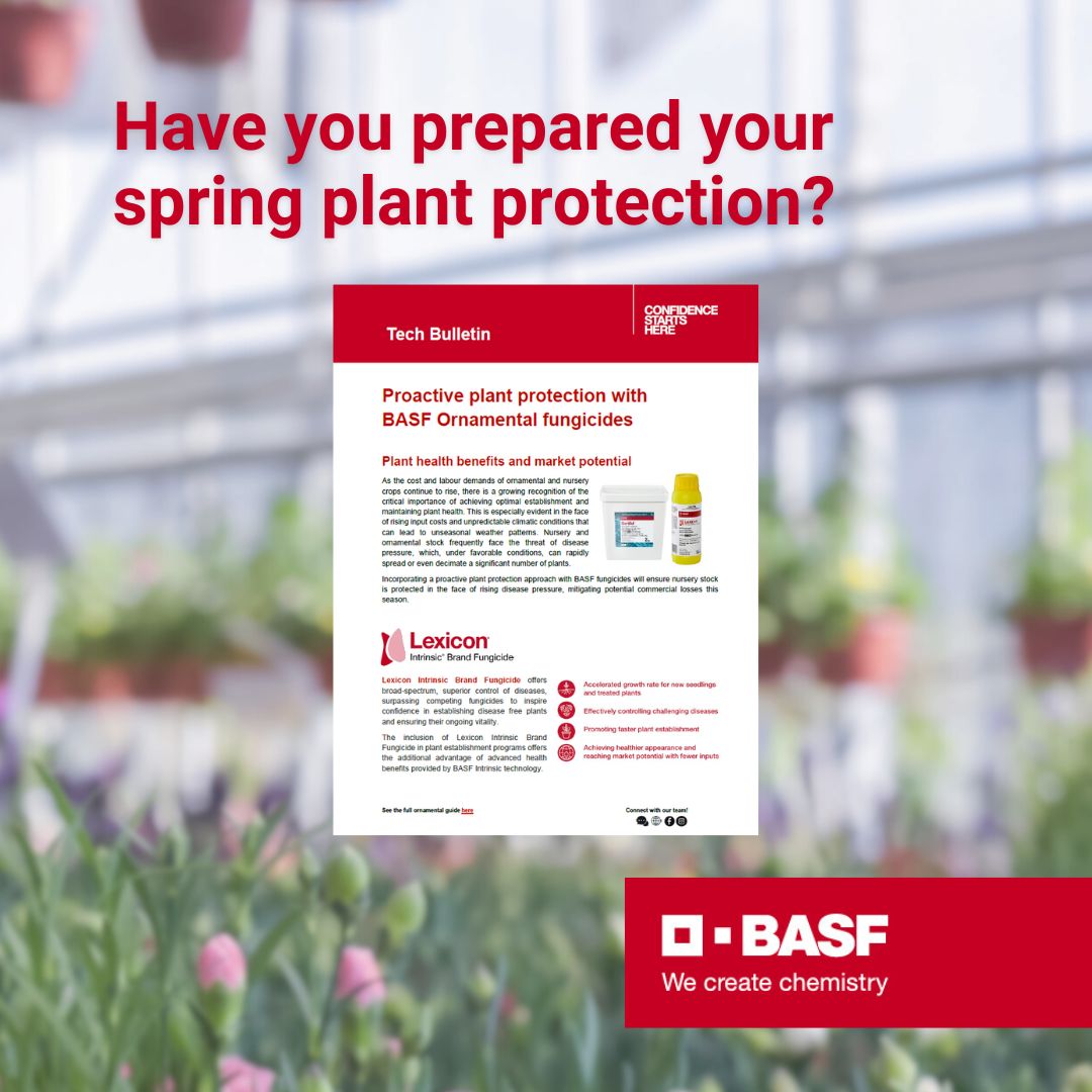 Lexicon_TechBulletin_OCT25