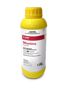 Maxtima bottle