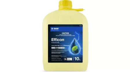 Efficon pack shot